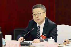全国人大代表马新强两会追“新”，畅谈新质生产力